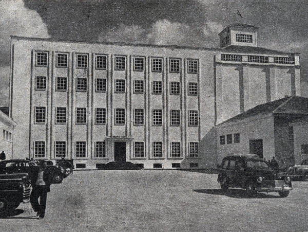 planta en 1954